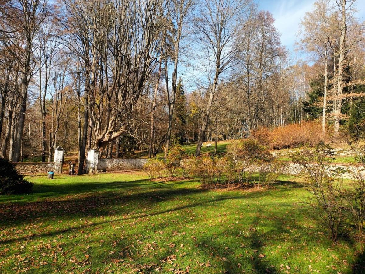 Apartmán Petra Horní Planá Esterno foto